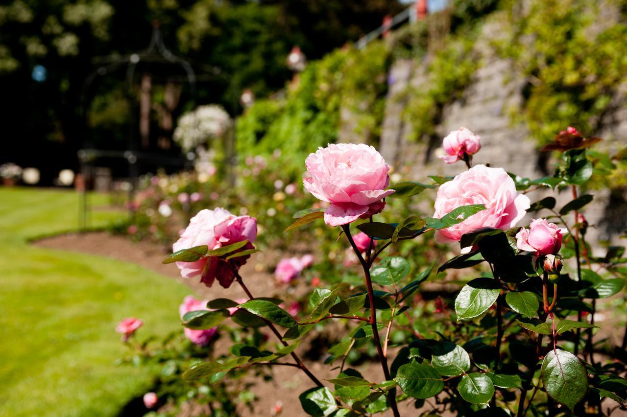 Miskin Manor Hotel Hensol Exterior photo